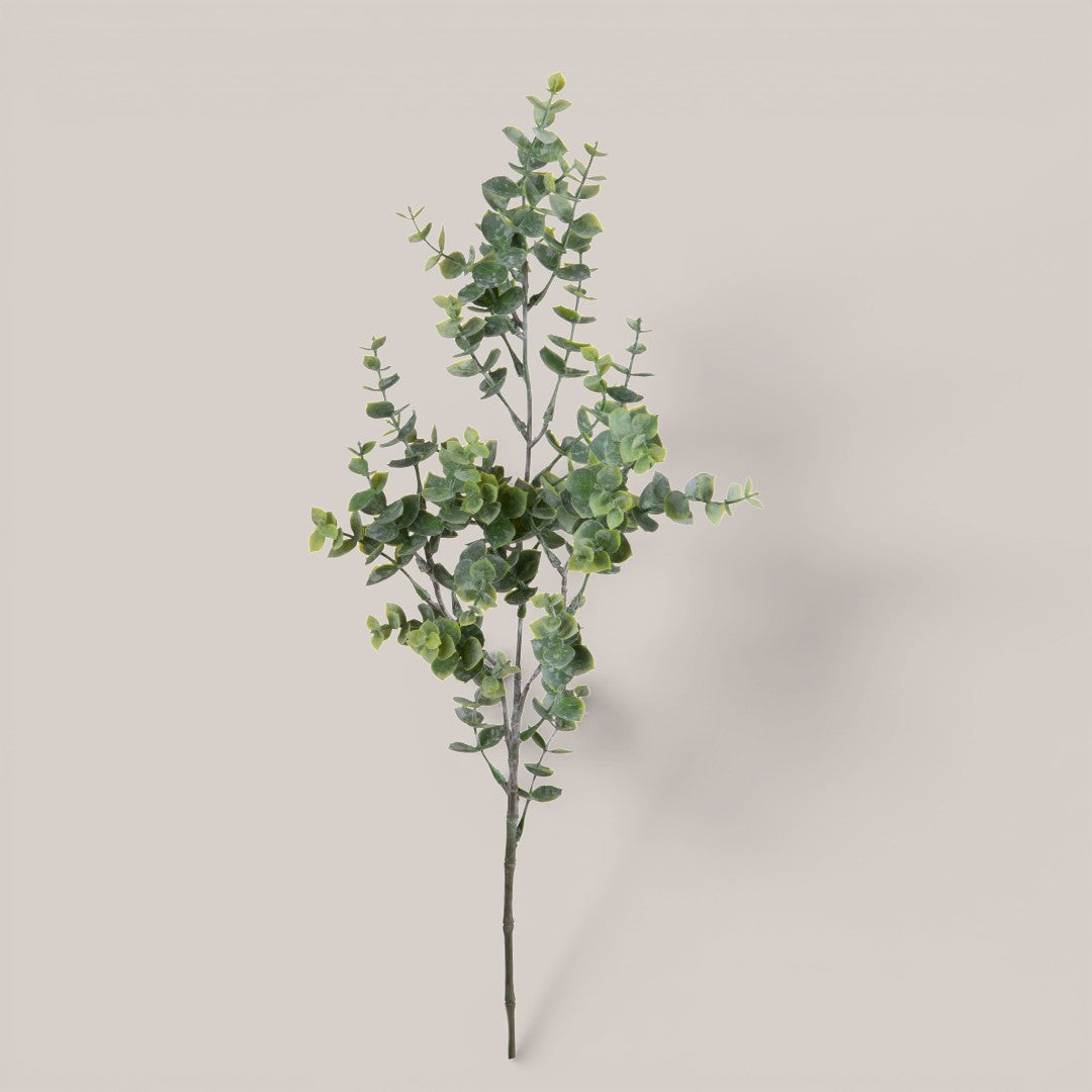 Mini Eucalipto per 3 Rami • 65 cm