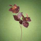 2 Pezzi • Foglia salal artificiale • 79 cm