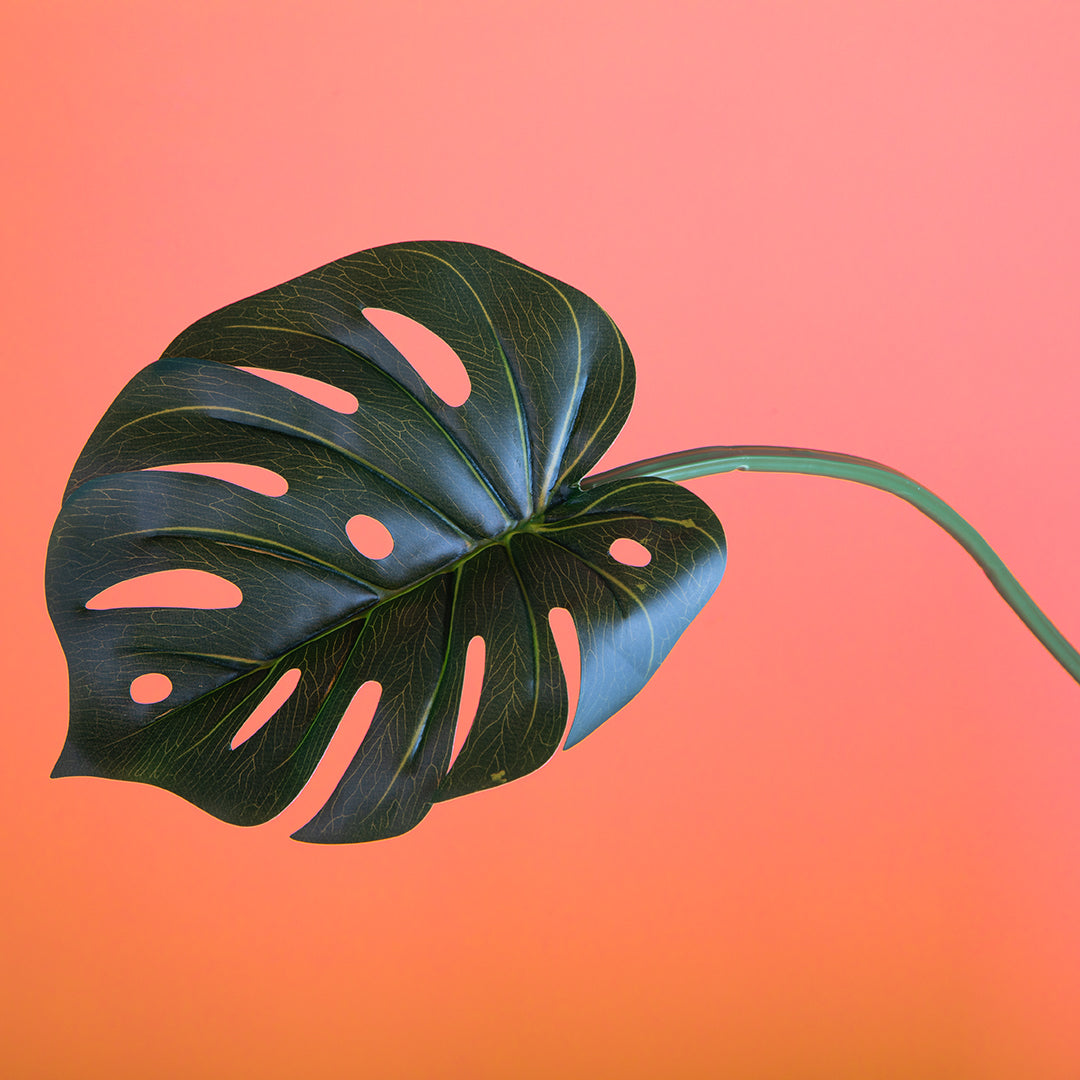 4 Pezzi • Foglia monstera artificiale •  64 cm