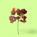3 Pezzi • Ramo vite per 3 diramazioni artificiale • 65 cm