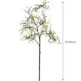 Tralcio Nocciolo • 105 cm