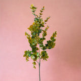 3 Pezzi • Mini eucalyptus per 3 diramazioni artificiale • 66 cm