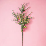 8 Pezzi • Ramo di eucalyptus artificiale • 75 cm