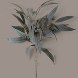 6 Pezzi • Ramo di Eucalyptus •  74 cm
