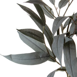 Ramo di Eucalyptus •  74 cm