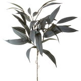 Ramo di Eucalyptus •  74 cm