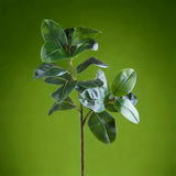 Verde artificiale Ramo di ficus real touch • 120 cm