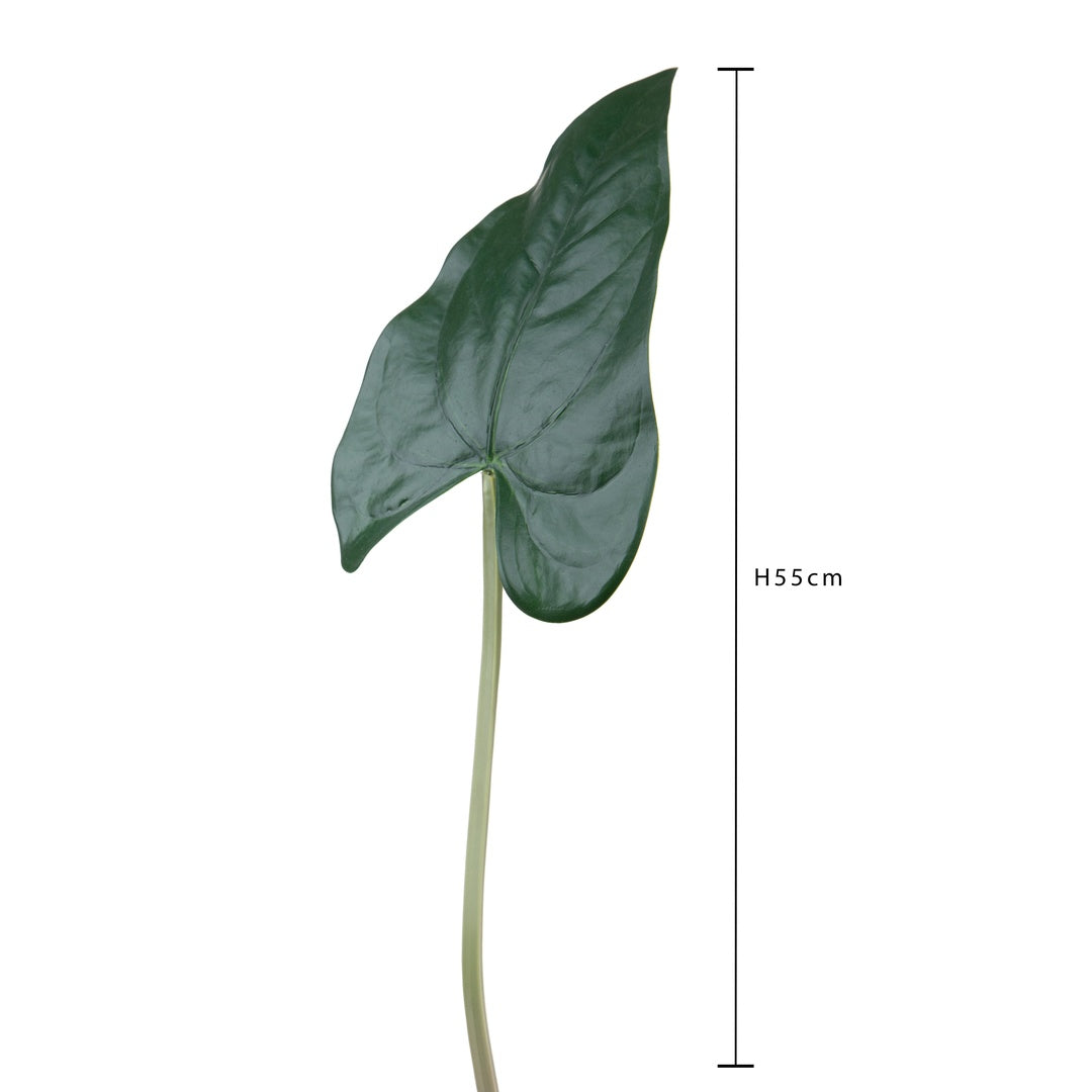 4 Pezzi • Foglia anthurium artificiale •  55 cm