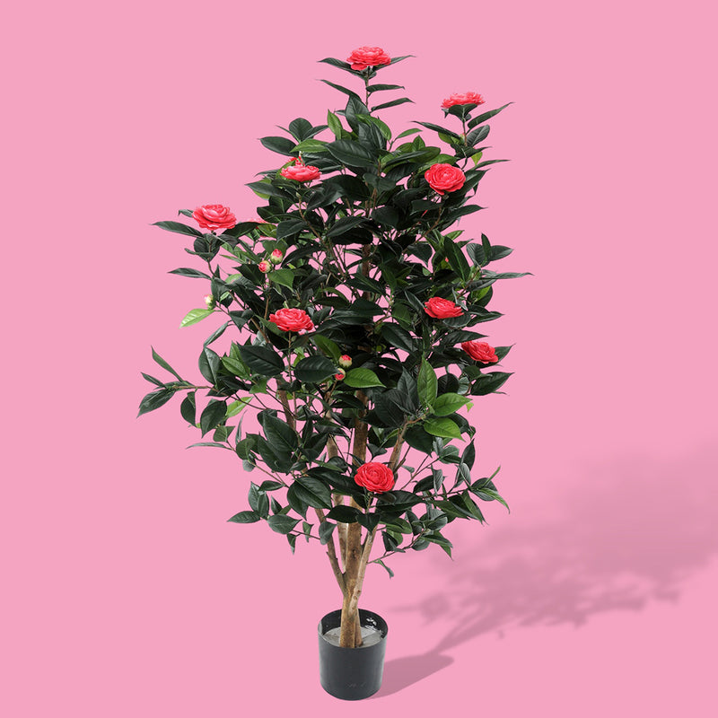 Albero camelia artificiale 678 foglie 28 fiori • 143 cm