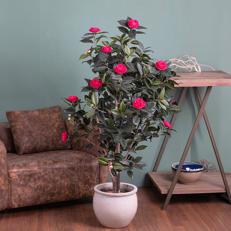 Albero camelia artificiale 678 foglie 28 fiori • 143 cm