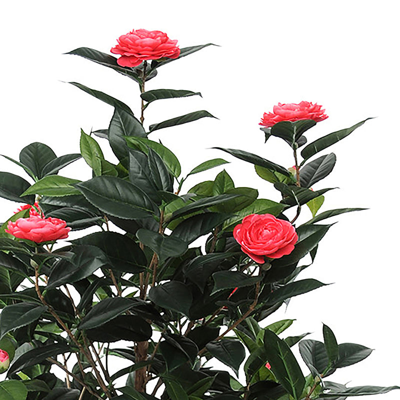 Albero camelia artificiale 678 foglie 28 fiori • 143 cm