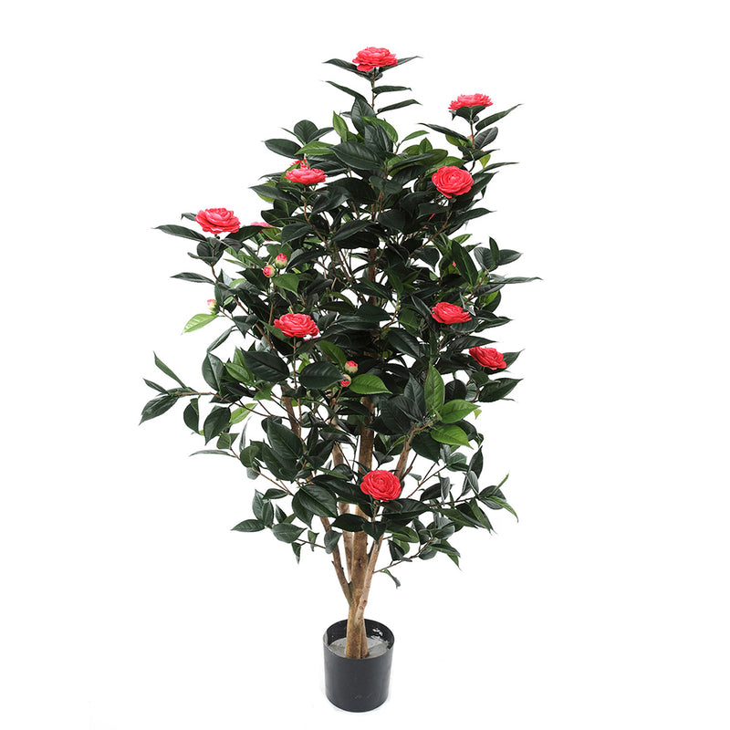 Albero camelia artificiale 678 foglie 28 fiori • 143 cm