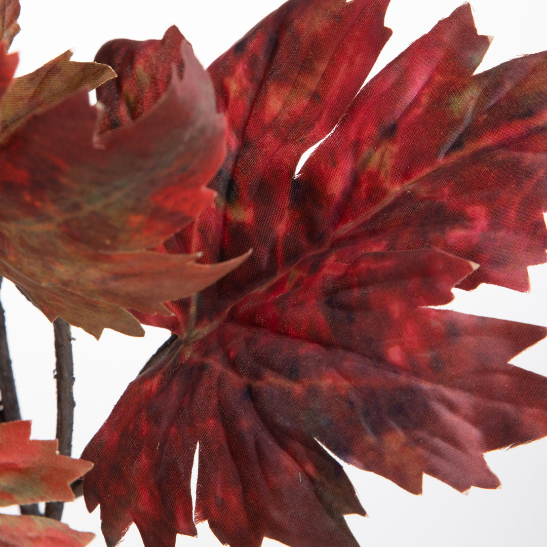 2 Pezzi • Platano autunnale grande • 98 cm