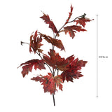 2 Pezzi • Platano autunnale grande • 98 cm