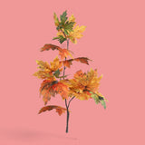 Pezzi 12 • PlatanoAutunnale • H 99 cm