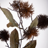 2 Pezzi • Ramo di castagno • 91,5 cm