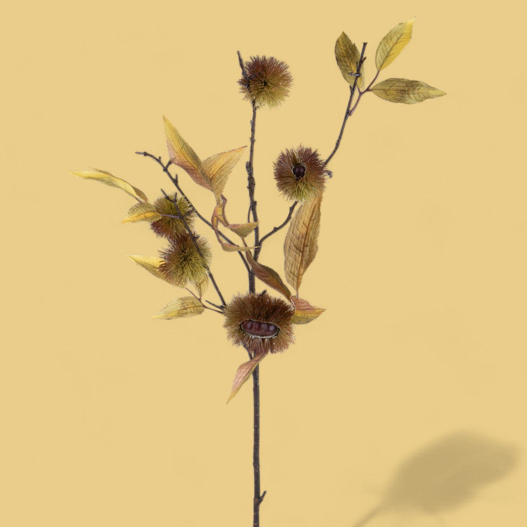2 Pezzi • Ramo di castagno • 91,5 cm