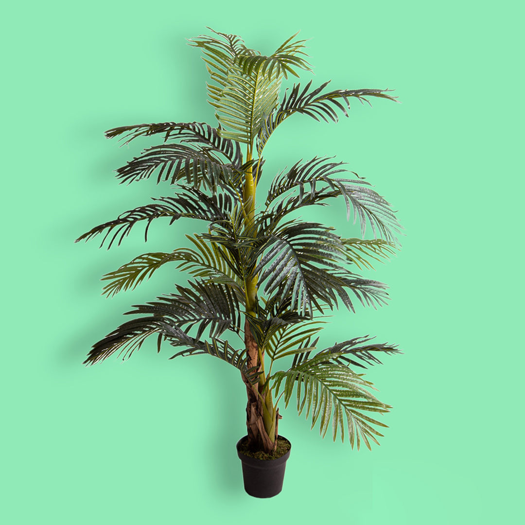 Verde artificiale Areca con vaso • 190 cm