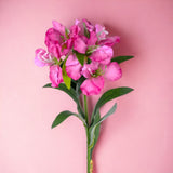 8 Pezzi • Fiore di Alstromeria artificiale • 62 cm