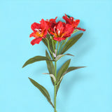8 Pezzi • Fiore di Alstromeria artificiale • 62 cm