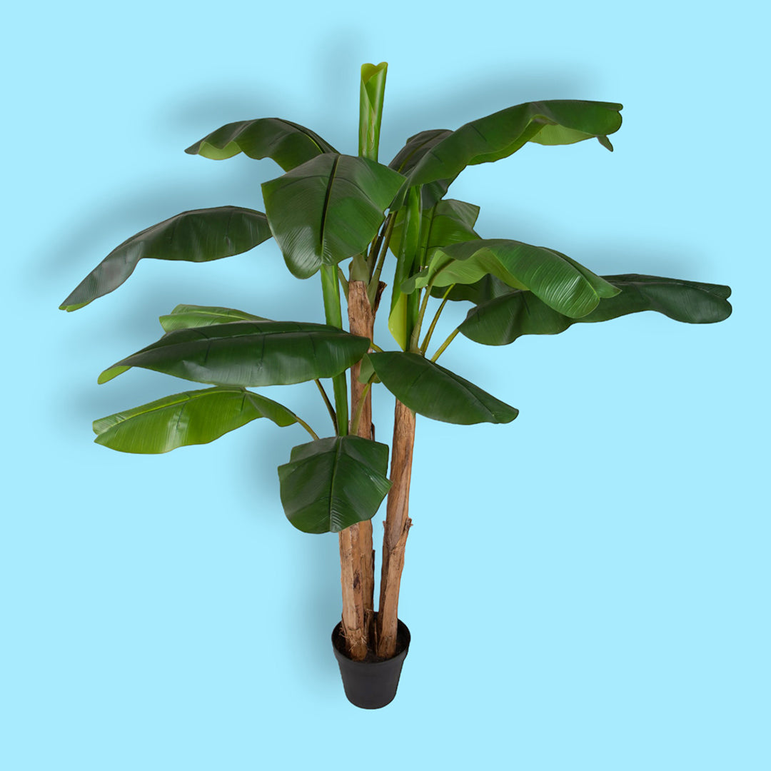 Verde artificiale Banano con vaso • 240 cm