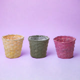 12 Pezzi • Cachepot in vimini • 11,5 cm