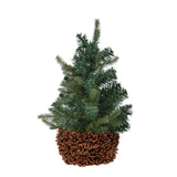 Cachepot con Pigne Naturali • 12 cm
