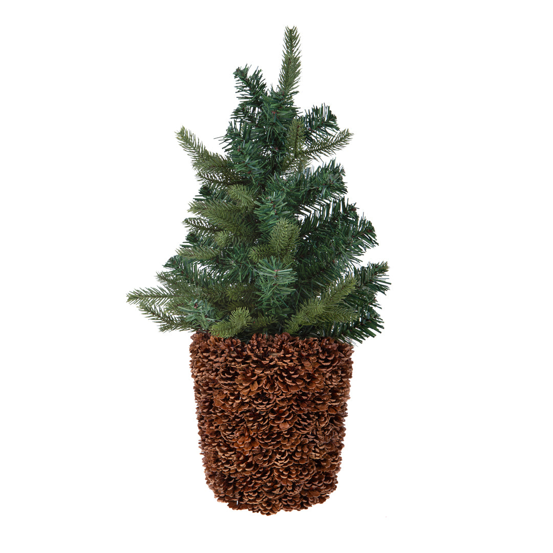 Cachepot con Pigne Naturali • 30 cm
