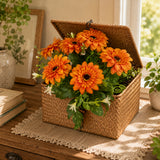 Bouquet Mini Gerbere • 30 cm