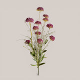 Fiori Di Campo con Gonphrena • 60 cm