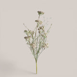 Fiori Di Campo con Achillea • 60 cm