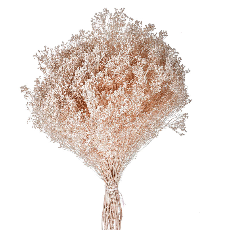 4 Pezzi • Broom bloom • 40 cm