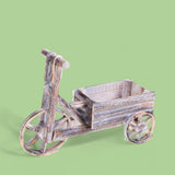 Bicicletta contenitore dimensioni • 14 cm