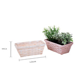 Cassetta vimini • 9 cm