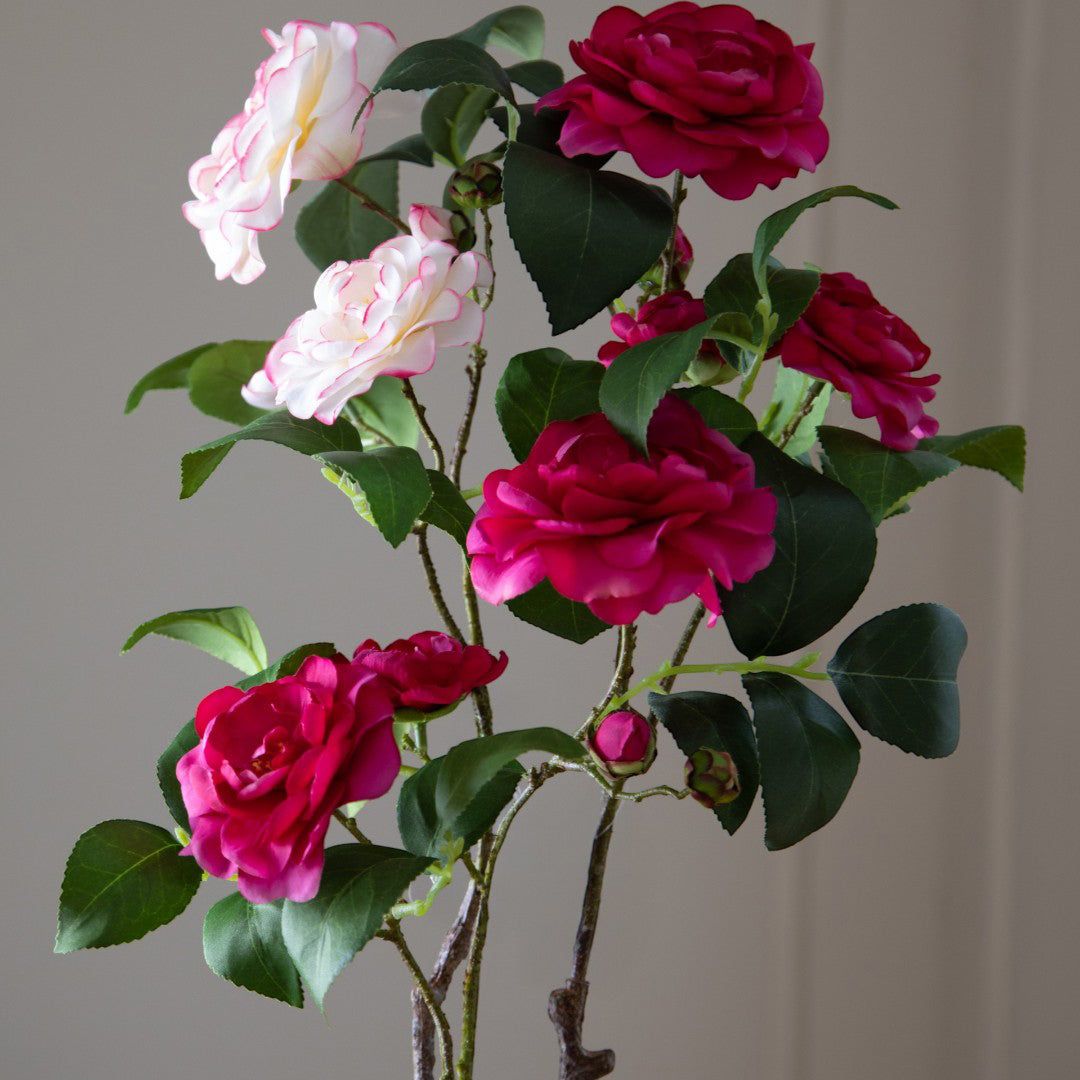 Camelia 3 Fiori + 2 Bocci Ramo • 68 cm