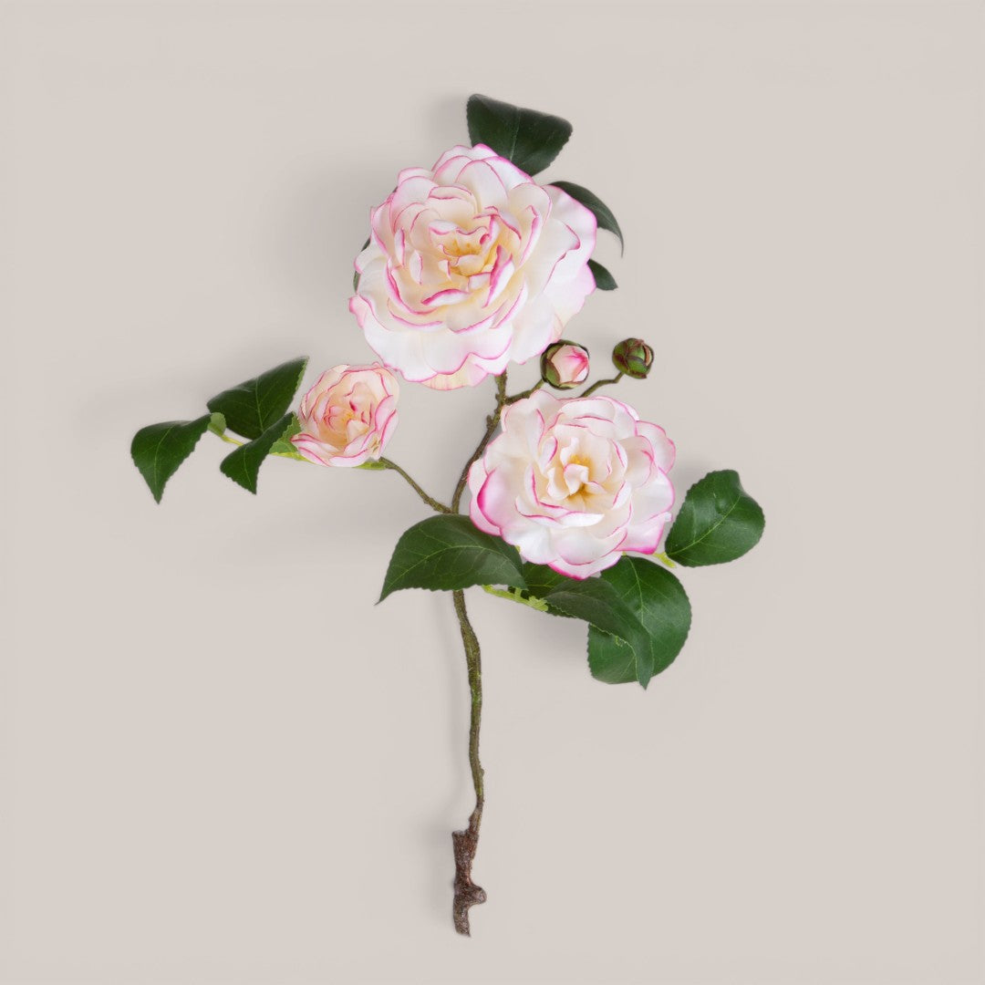 Camelia 3 Fiori + 2 Bocci Ramo • 68 cm