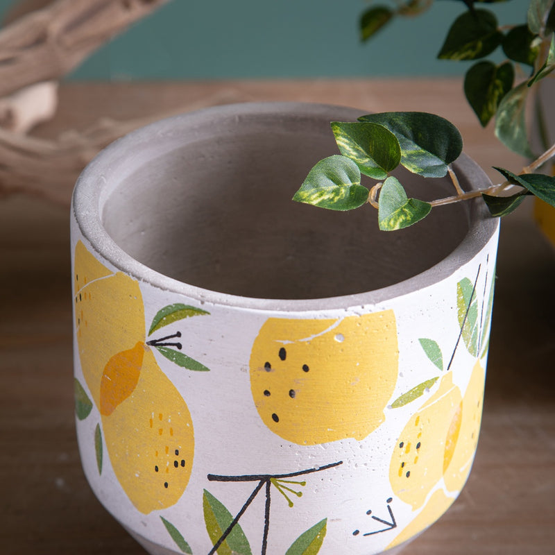 Cachepot con limoni • 14 cm