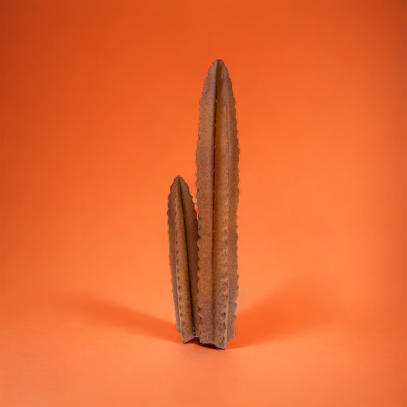 Cactus • 70 cm