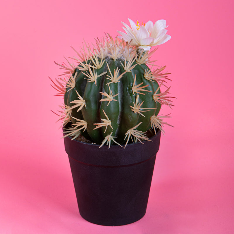 Cactus con fiori in vaso artificiale •  19 cm