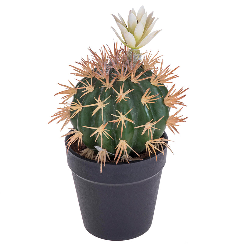 Cactus con fiori in vaso artificiale •  19 cm