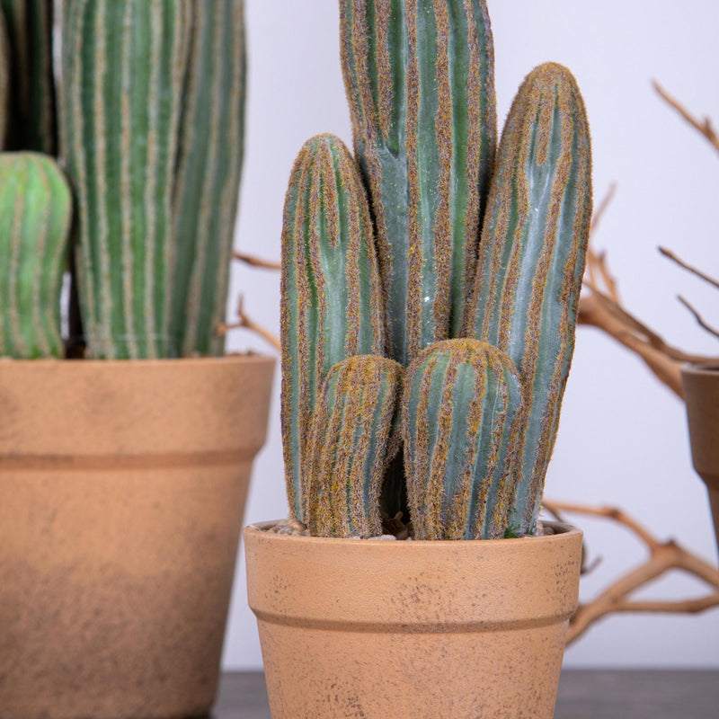 2 Pezzi • Cactus con vaso artificiale •  24 cm