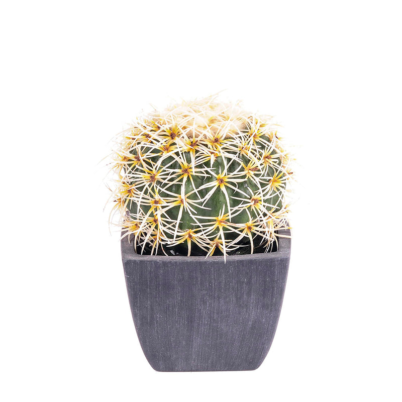 2 Pezzi • Cactus con vaso artificiale •  14 cm