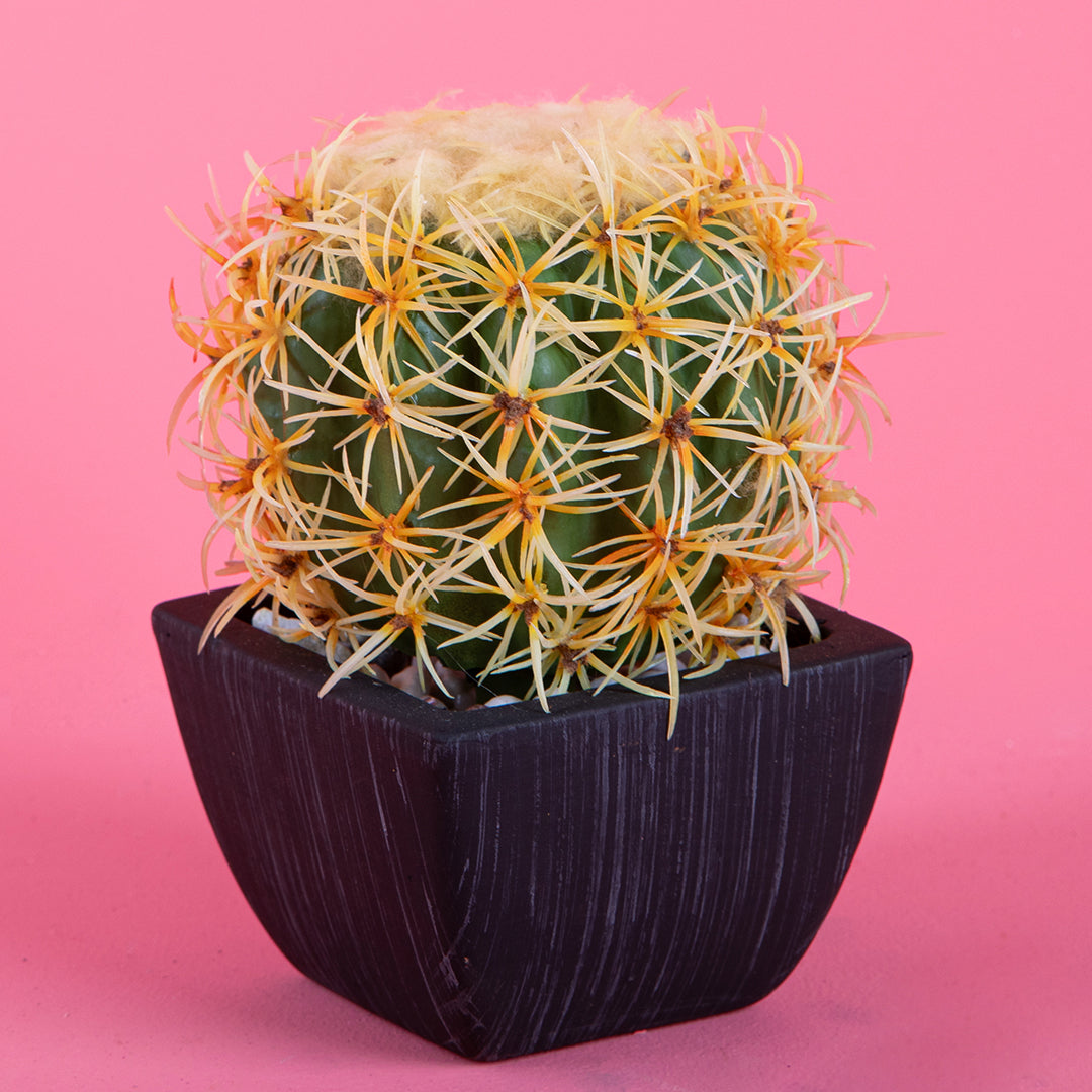 Cactus artificiale con vaso • 15 cm
