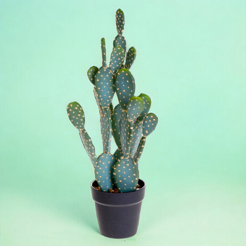 Cactus artificiale opunthia con vaso • 56 cm