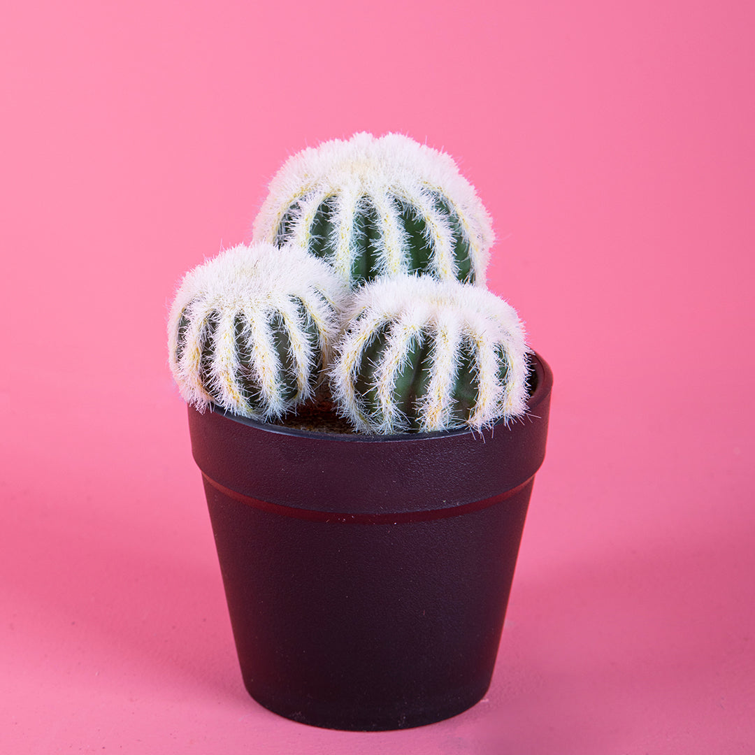4 Pezzi • Cactus per 3 con vaso artificiale •  12 cm