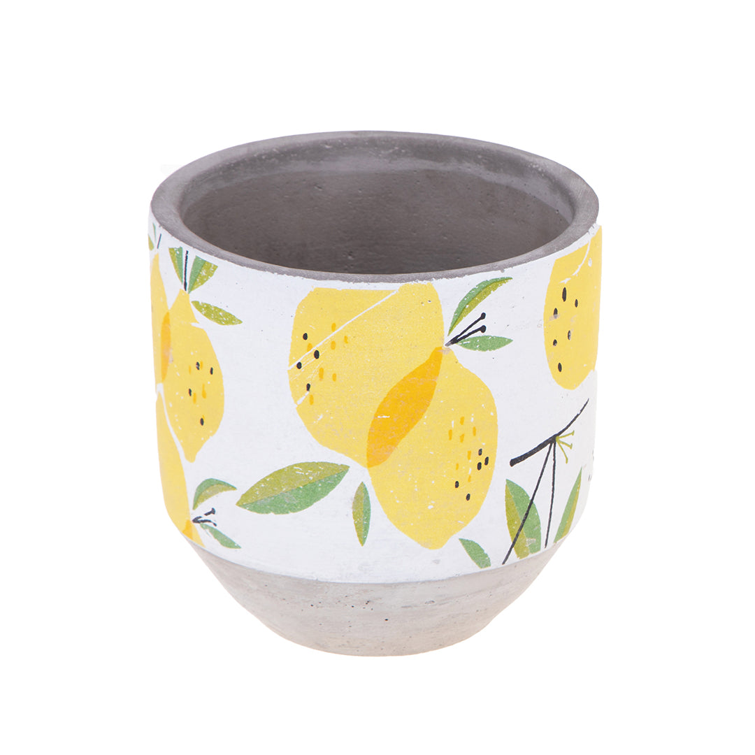 Cachepot con limoni • 14 cm