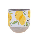 Cachepot con limoni • 14 cm