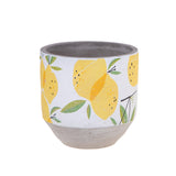 Cachepot con limoni • 14 cm