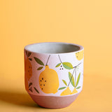 Cachepot con limoni • 14 cm