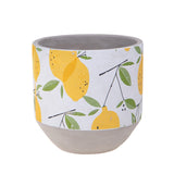 Cachepot con limoni • 17 cm